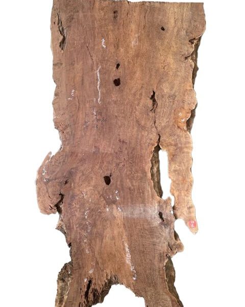 KP-19-OBGT-119-480x679